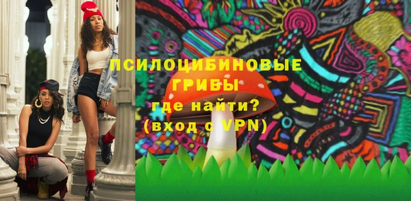 молекула духа Алексин