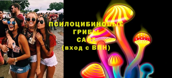 МДПВ Алзамай
