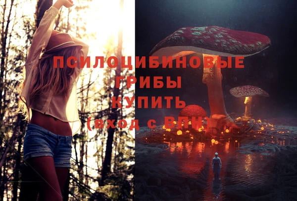 МДПВ Алзамай