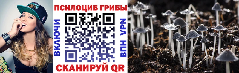Галлюциногенные грибы ЛСД  что такое наркотик  Перевоз 